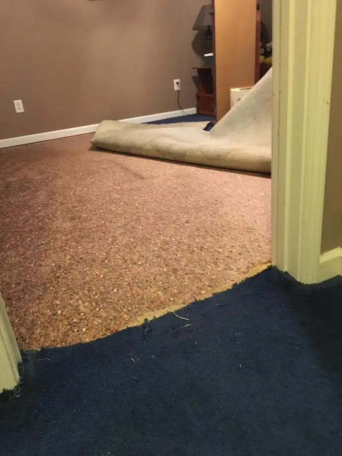 Carpet pad removal revealing water damage during Drying & Dehumidification in Lakeland North