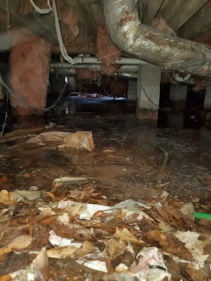 Crawl space flood assessment for Leak Detection & Repair in Lakeland North