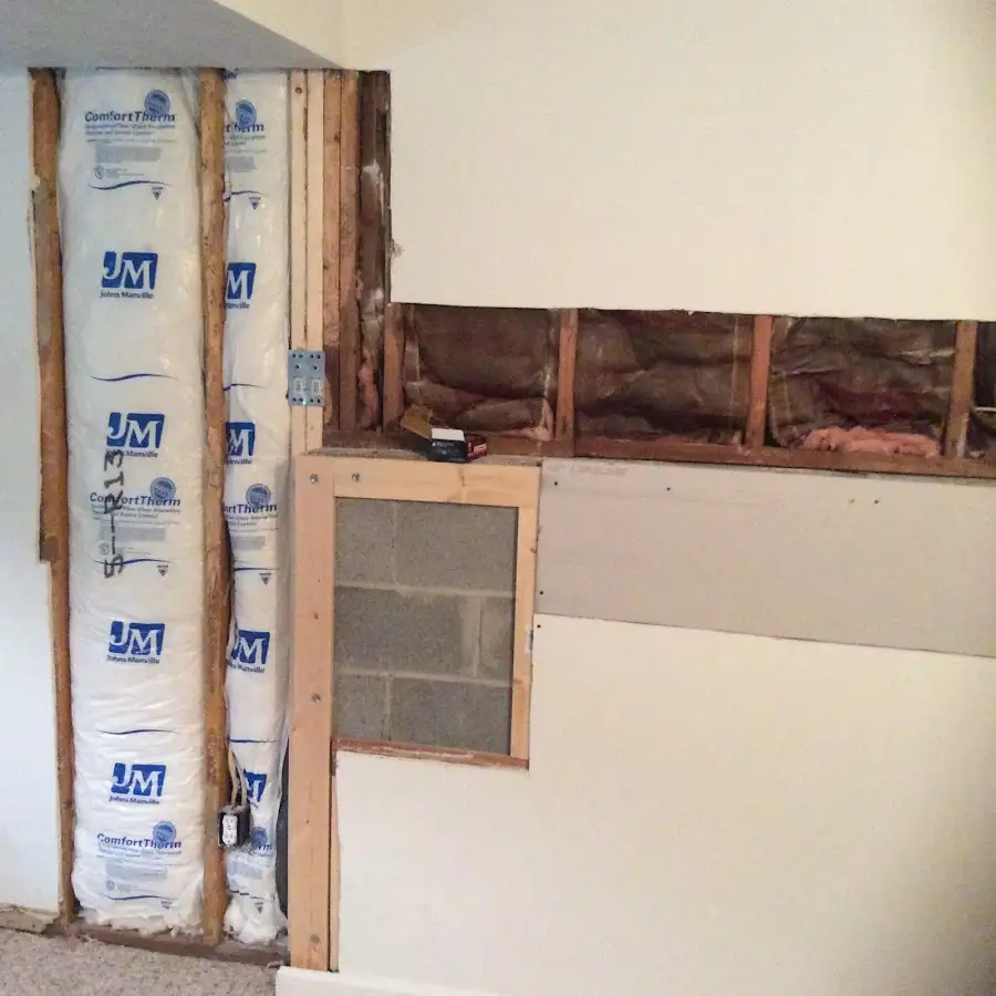 Wall insulation replacement during Basement Flood Cleanup in Lakeland North